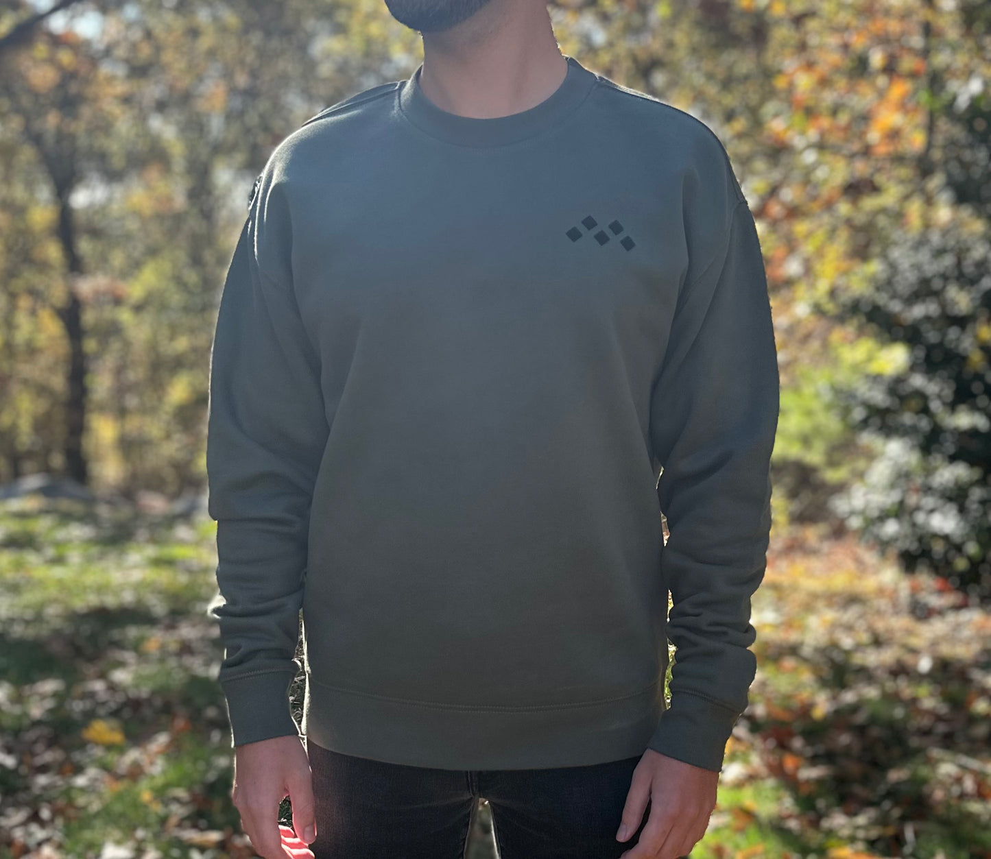 Men’s Deep Sage Crewneck Sweatshirt | Signature Suede-Touch Edition by Vived-Mota Co.